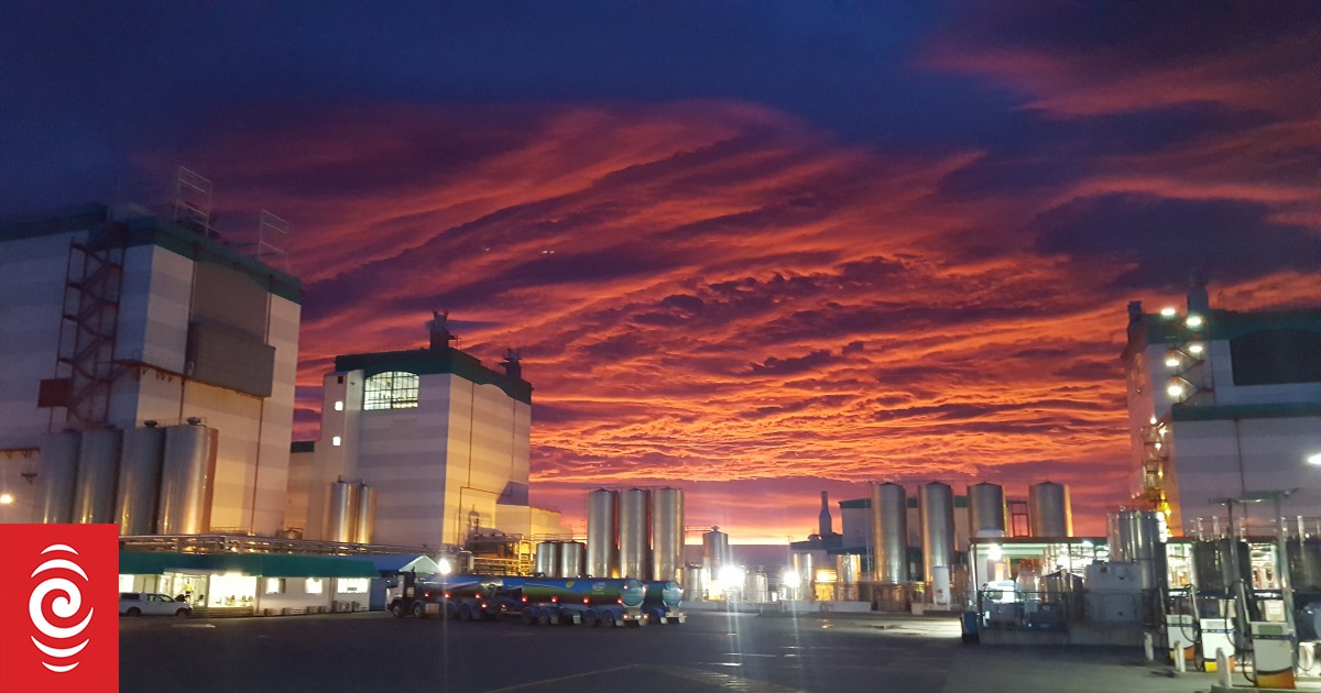 Fonterra to install its first electrode boiler at Edendale plant in ...