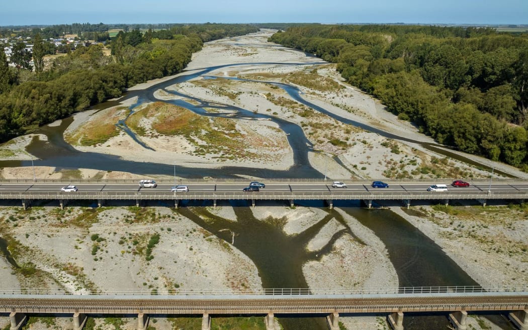 The site for Ashburton's second bridge will require the management of endangered black-billed gull (tarāpuka) and at-risk southern grass skinks.