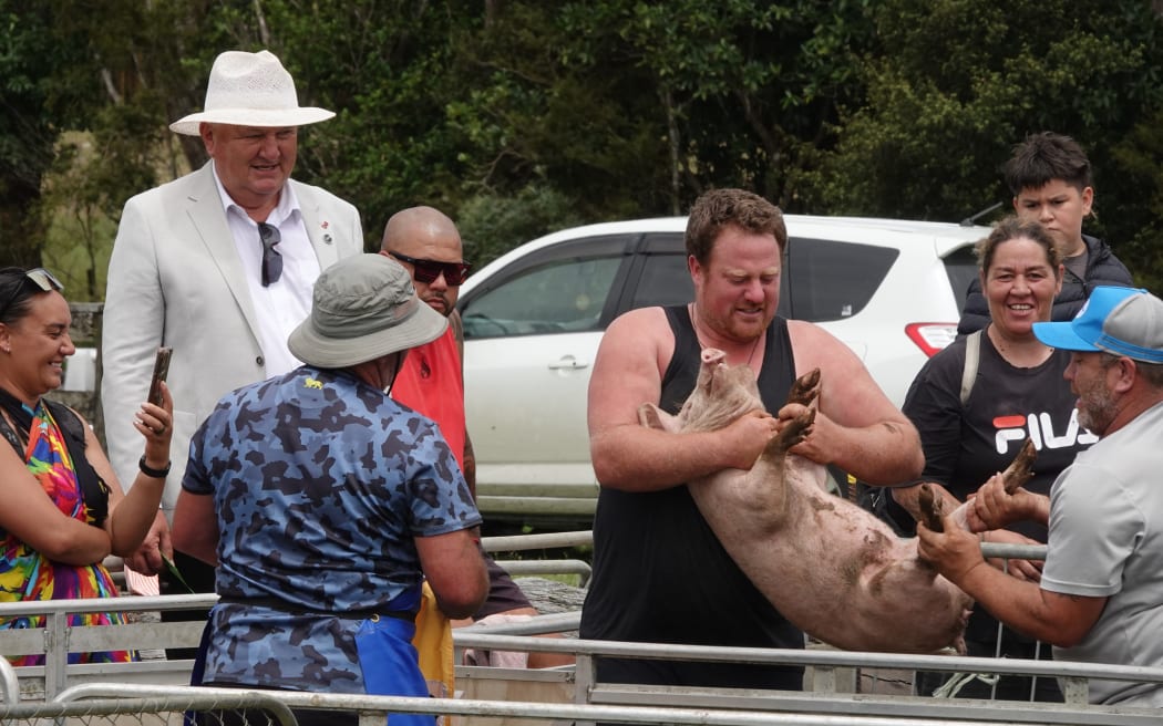 NZ First MP Shane Jones (second from left) watches as a contestant is readied for the pig race.