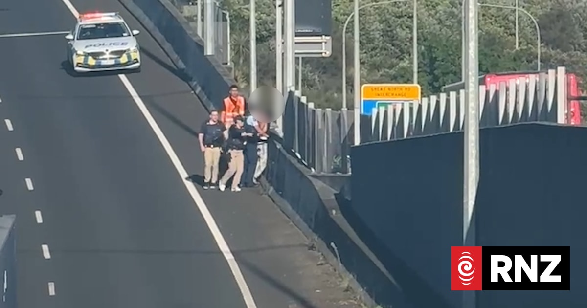 Watch: Man arrested after walking onto Auckland's Northwestern Motorway