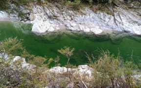 Pelorus River.