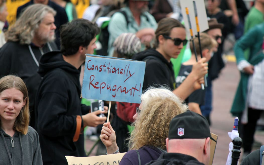 A protestor holding a placard saying "constitutionally repugnant".