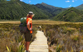 A section of the new boardwalk in Te Papakura o Taranaki / Egmont National Park.