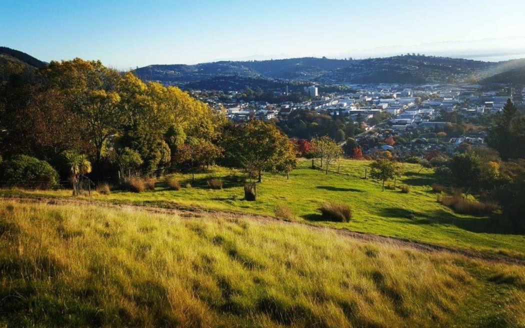 View of Nelson from Botanical Hill.