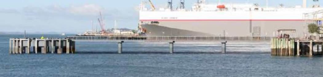 An artist's impression of the proposed mooring dolphin and gangway on Queens Wharf.