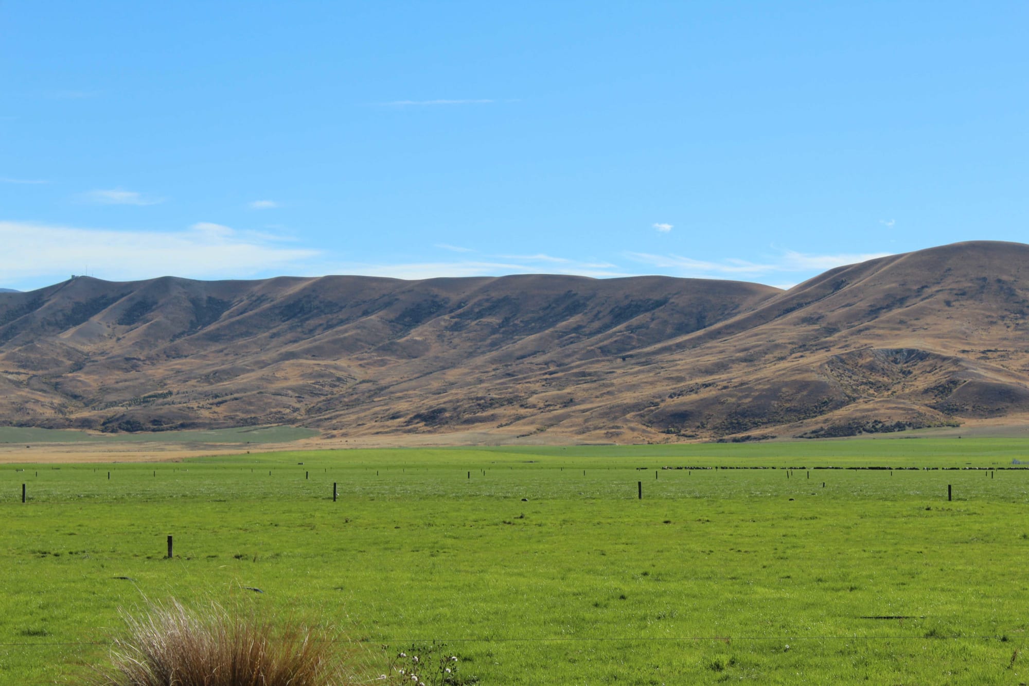 Irrigation in the Mackenzie Basin.