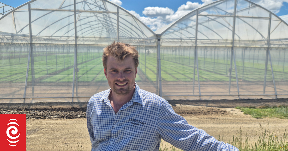Country Life: Leaderbrand's new greenhouse