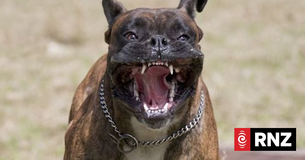 Overhauled Dog Control Act to be 'in place next year'
