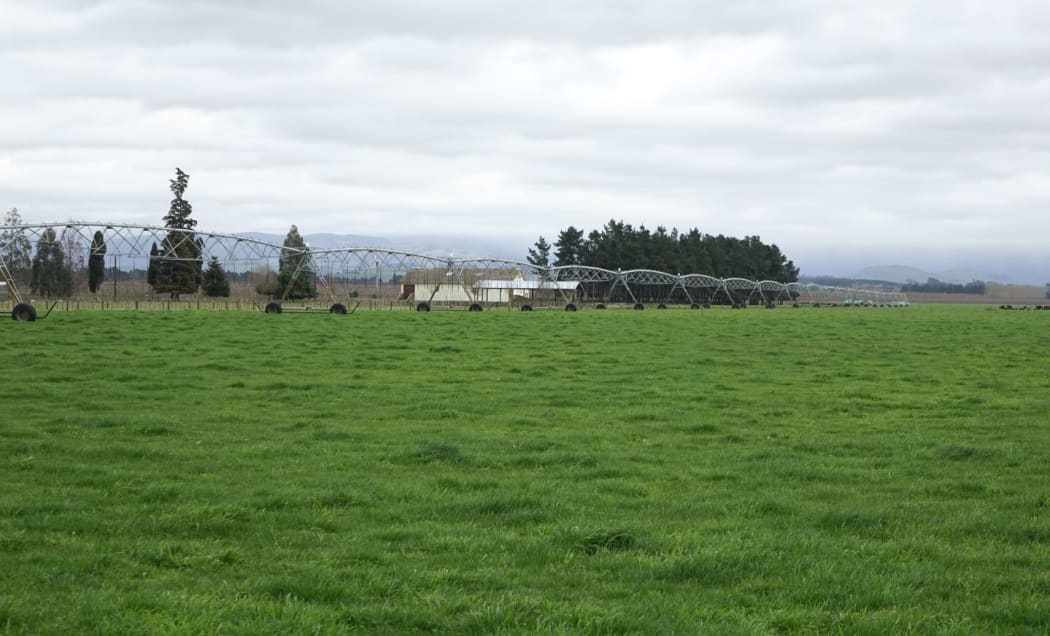 Plantation road dairies