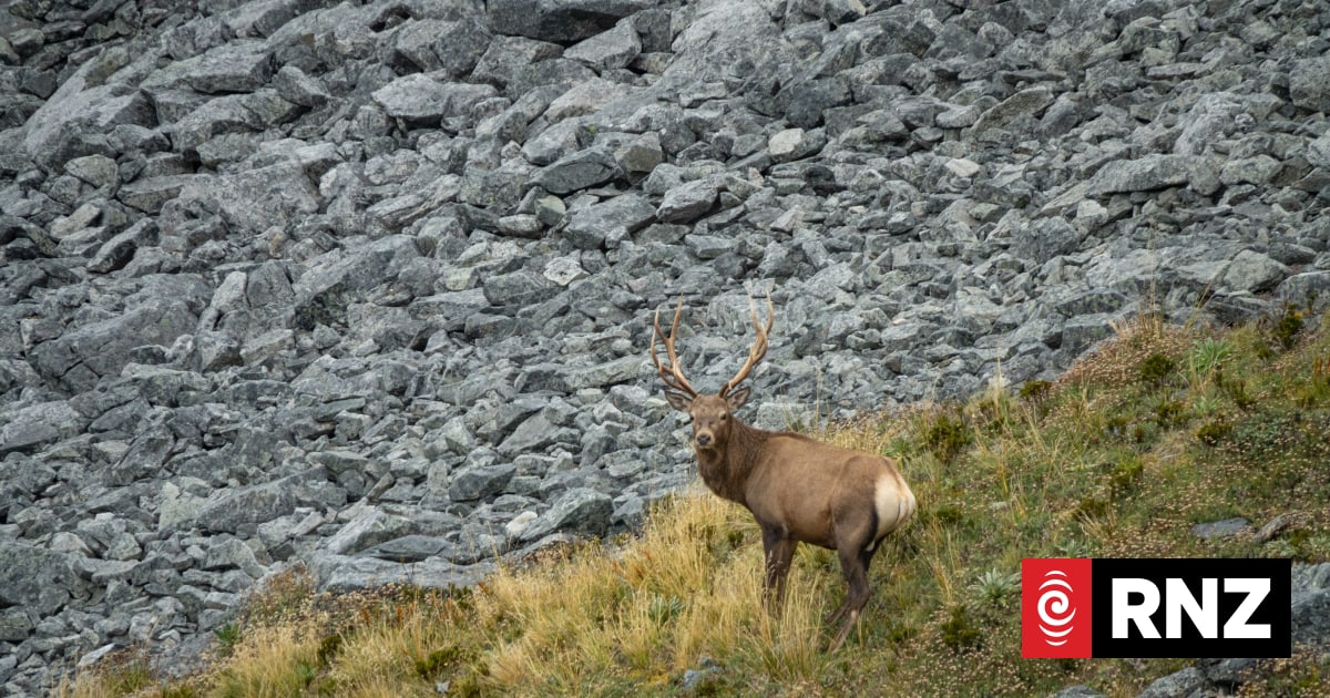 Minister accuses Forest and Bird of 'unnecessary scaremonger