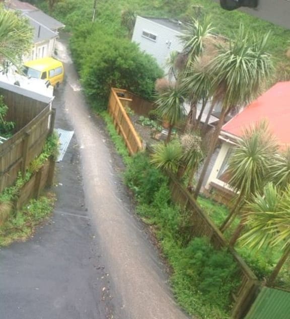 Runoff on a street in Aro Valley, central Wellington.