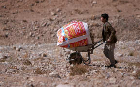 FORMER NZDF FIRING RANGE, BAMYAN — A boy crosses one of the ranges with a load of brushwood. Households in the villages surrounding the range are poor and many cannot afford electricity or gas so rely on the firewood.