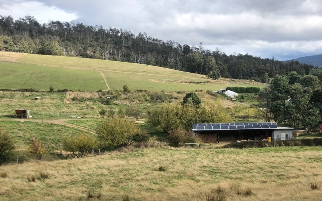 FAT PIG FARM