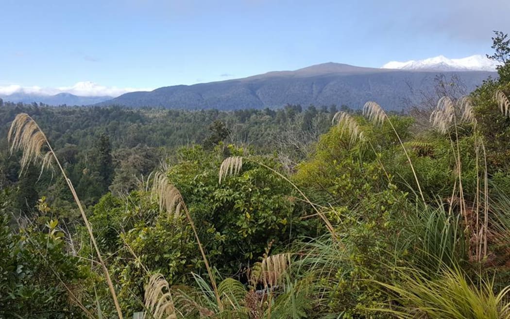 A large scenic reserve extending from west of Waimarino south to Horopito has been named Ngātokoerua Scenic Reserve.