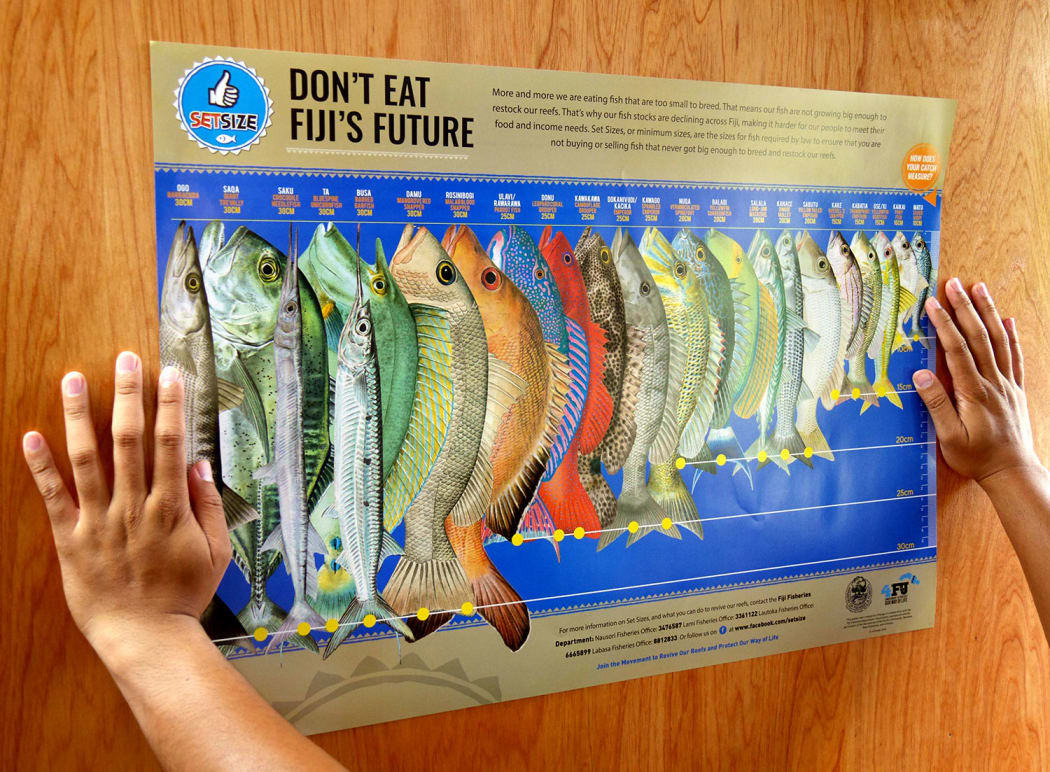 Fiji fish size limit poster