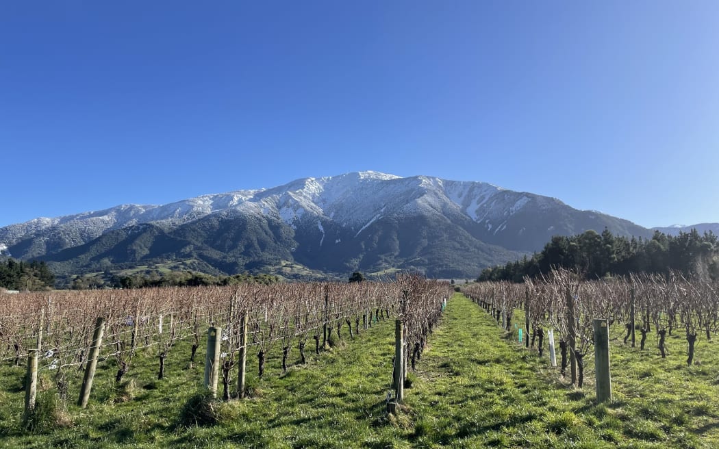 Esses Winery, Kaikōura