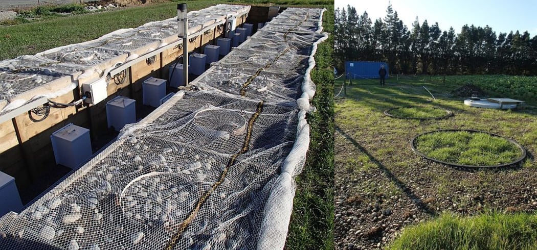 Different size lysimeters in the ground