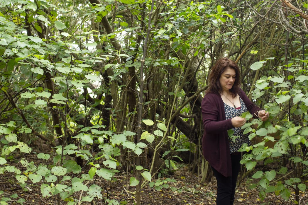 Johanna Knox foraging