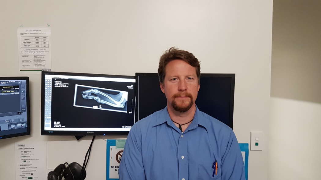 Veterinary surgeon Michael Nawrocki will do the first of a series of procedures on Turbo this week.