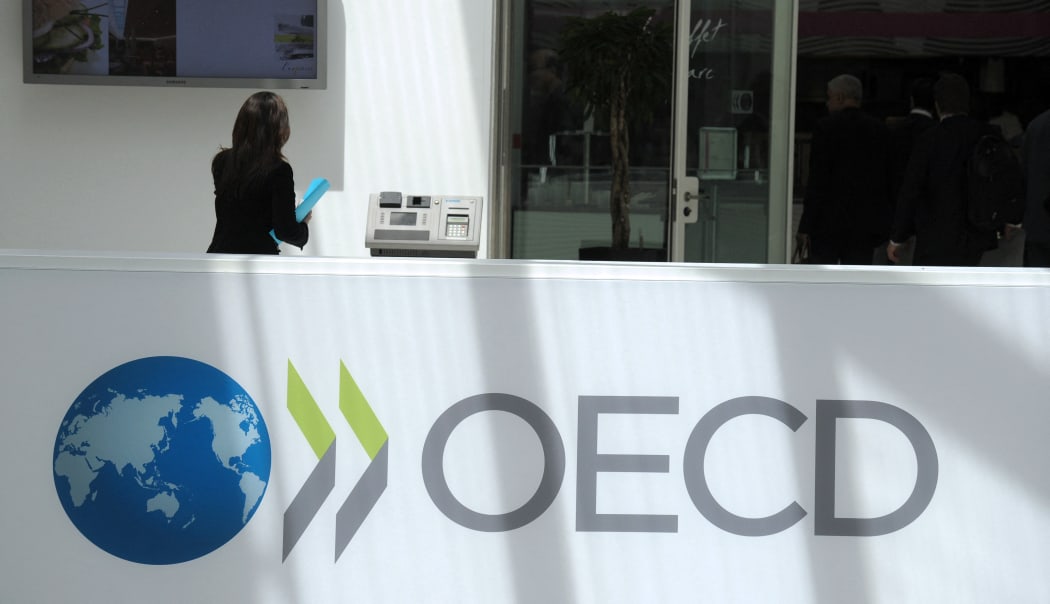 A participant stands at the OECD headquarters in Paris during the presentation of the Economic Outlook at the 2013 OECD Week on May 29, 2013