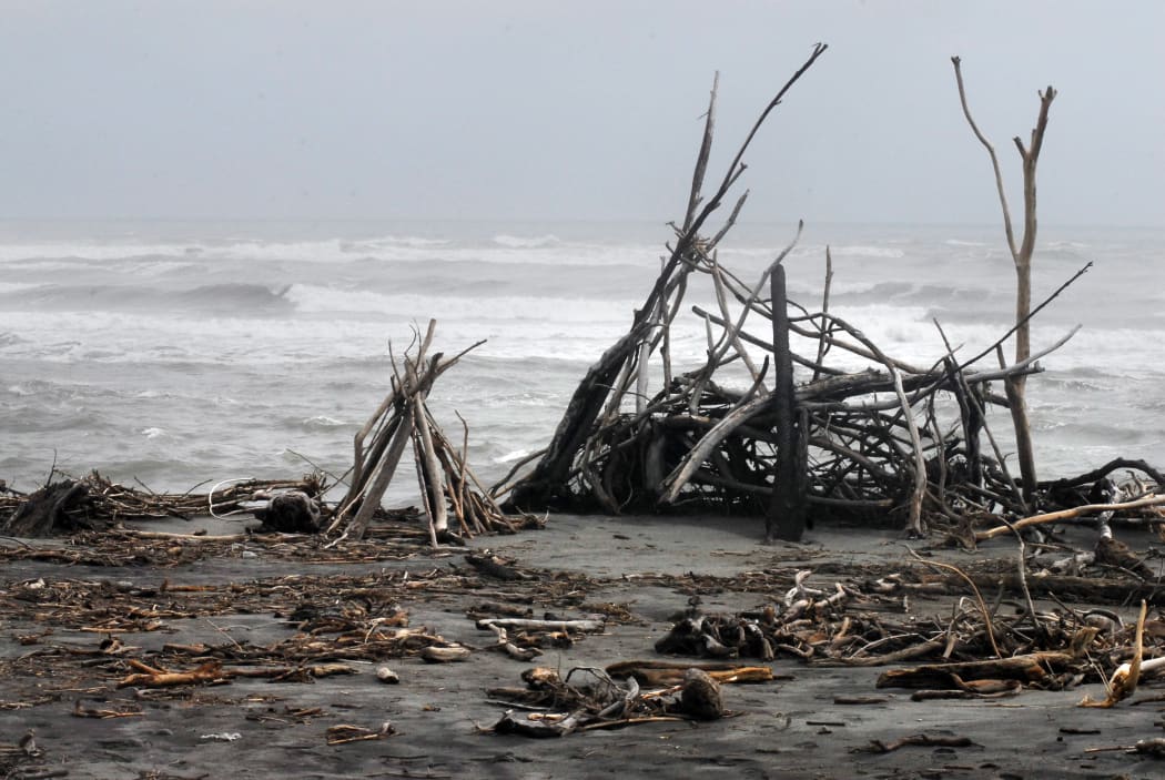 Driftwood washed up on the rough and stormy southern West Coast of New Zealand.