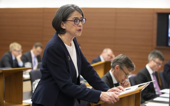 Kristy McDonald QC during her submissions at the Operation Burham Inquiry at the High Court in Wellington.