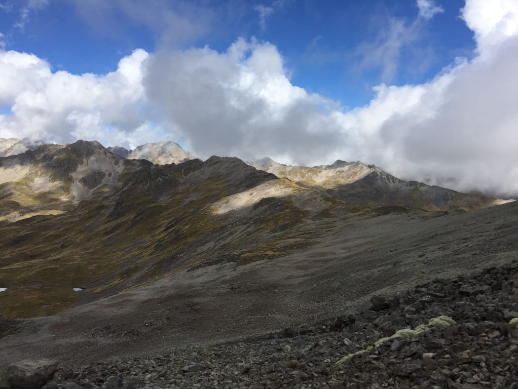 The exposed track above the bush line on Robert Ridge.