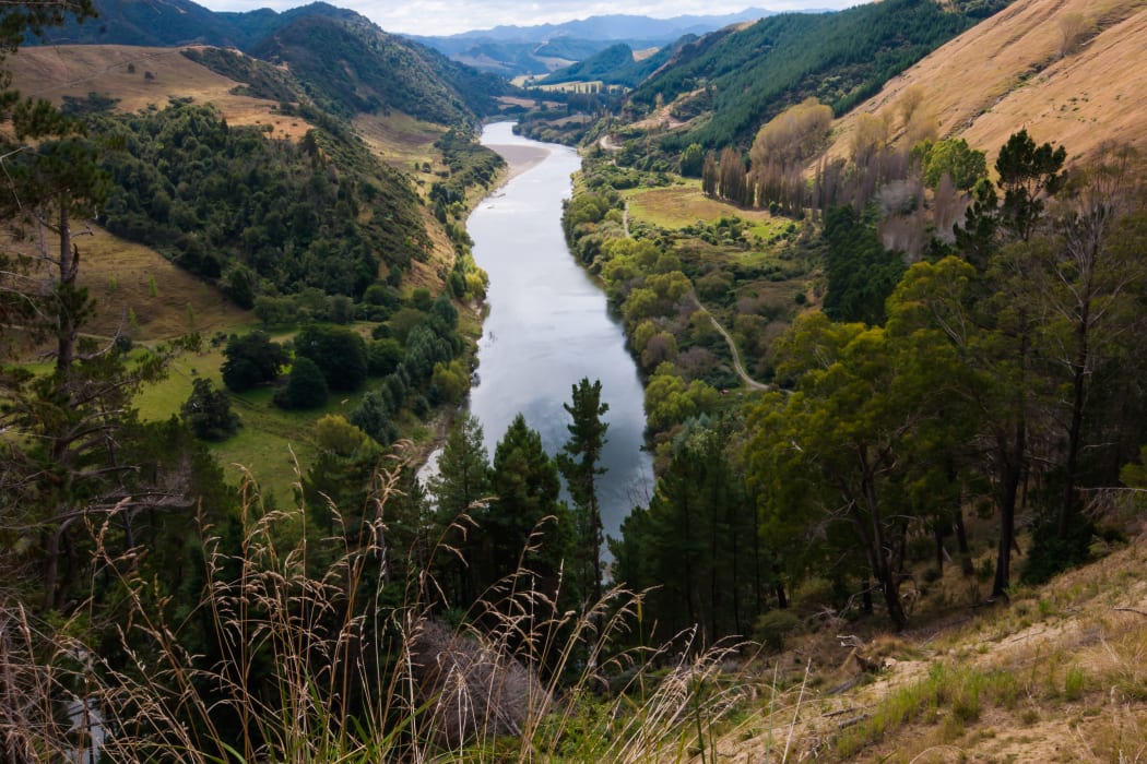 Whanganui River, North Island, New Zealand