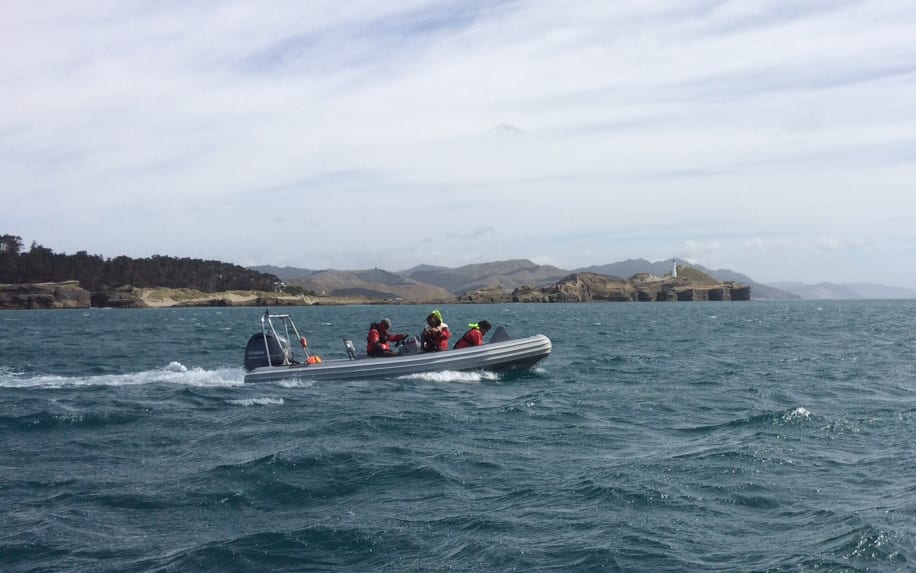 One of the protest boats sets out to find seismic blasting ship Amazon Warrior.