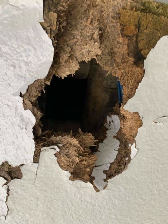 A block of classrooms at Hutt Valley High School has had to shut due to mould and leakage problems.