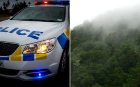Mist rises in an area near Tree Trunk Gorge Rd - on the edge of Tongariro National Park and Kaimanawa Forest Park - in December 2008.