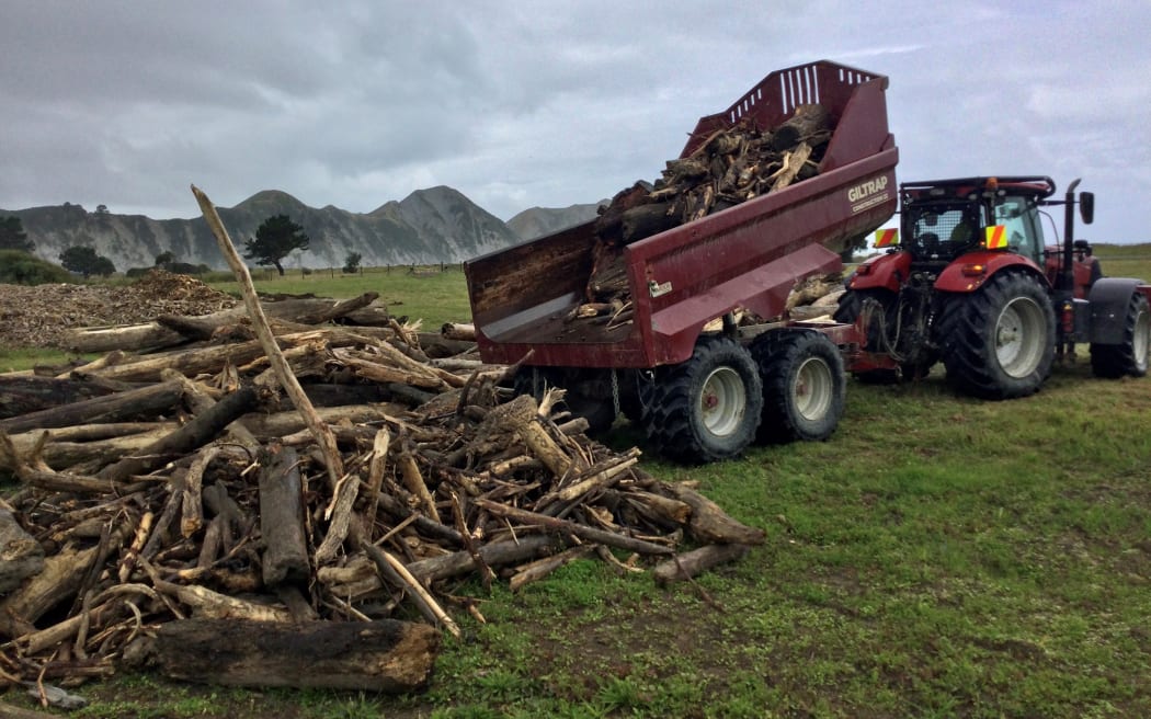 Debris piled up before chipping into material that is more readily transportable