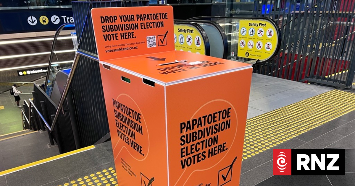 The Detail: Papatoetoe's election rerun