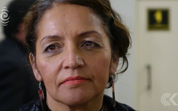 Maori Party decides to support changes to RMA