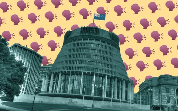 illustration of NZ politics