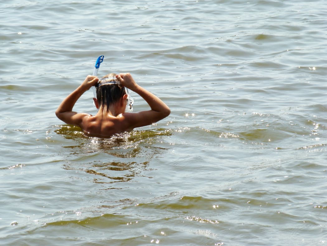 A child in a snorkel and mask peers into a river while swimming.