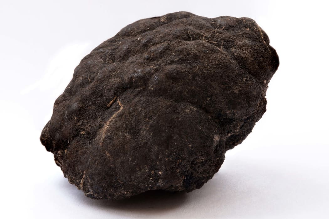 Polymetallic nodules  Pacific ocean