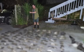 A man counts deceased penguins (the penguins are blurred.