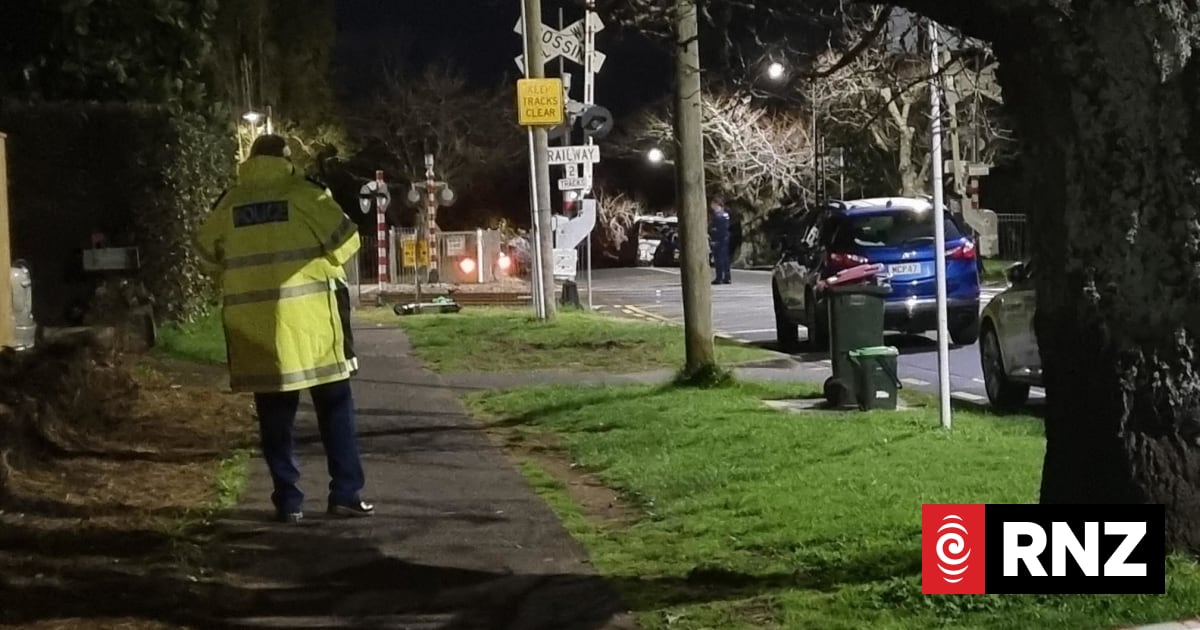 Student dies after being hit by train at Auckland's Baldwin Ave station