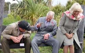 A bee landed on Prince Charles' leg while he was holding the tuatara in Dunedin.