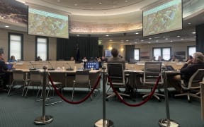 The group presenting to the Transport, Resilience and Infrastructure Committee on Thursday.