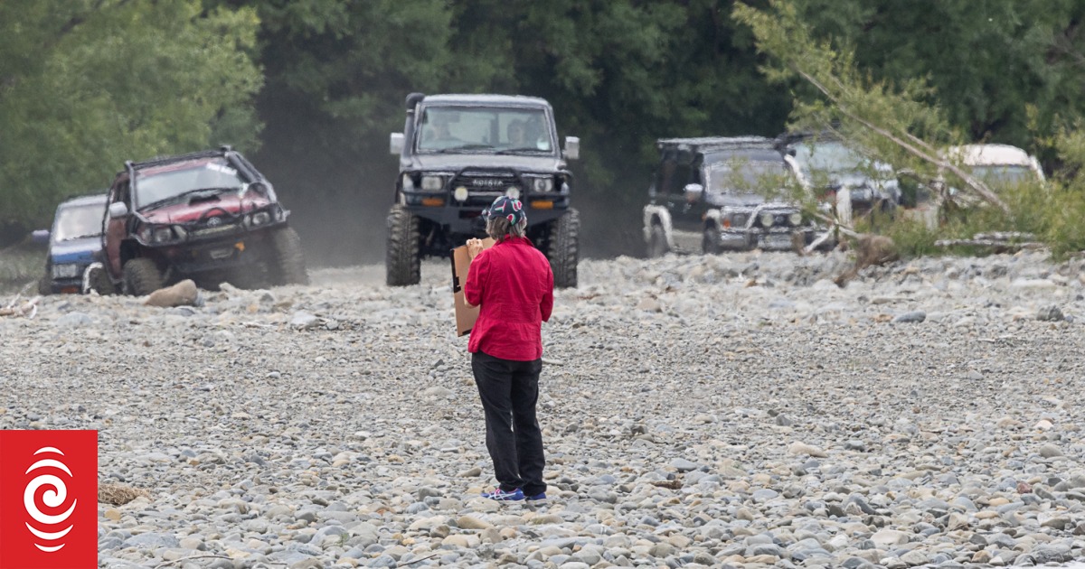 Canterbury Crate Day punters anger activists over breaking endangered birds' eggs RNZ News