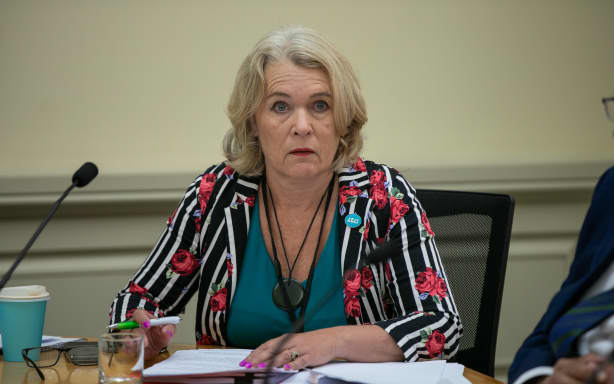 The House: 'Mental health is about lived experience', Minister tells ...