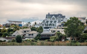 A view of houses from Hamilton Lake Domain.