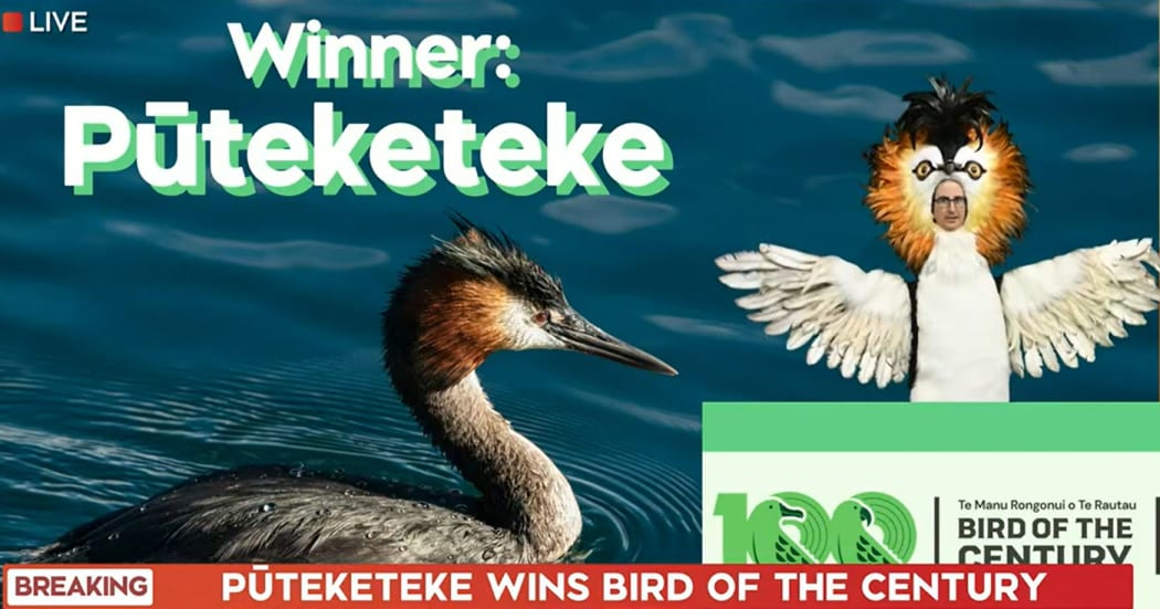 Bird of the Century winner announced live on TVNZ Breakfast.