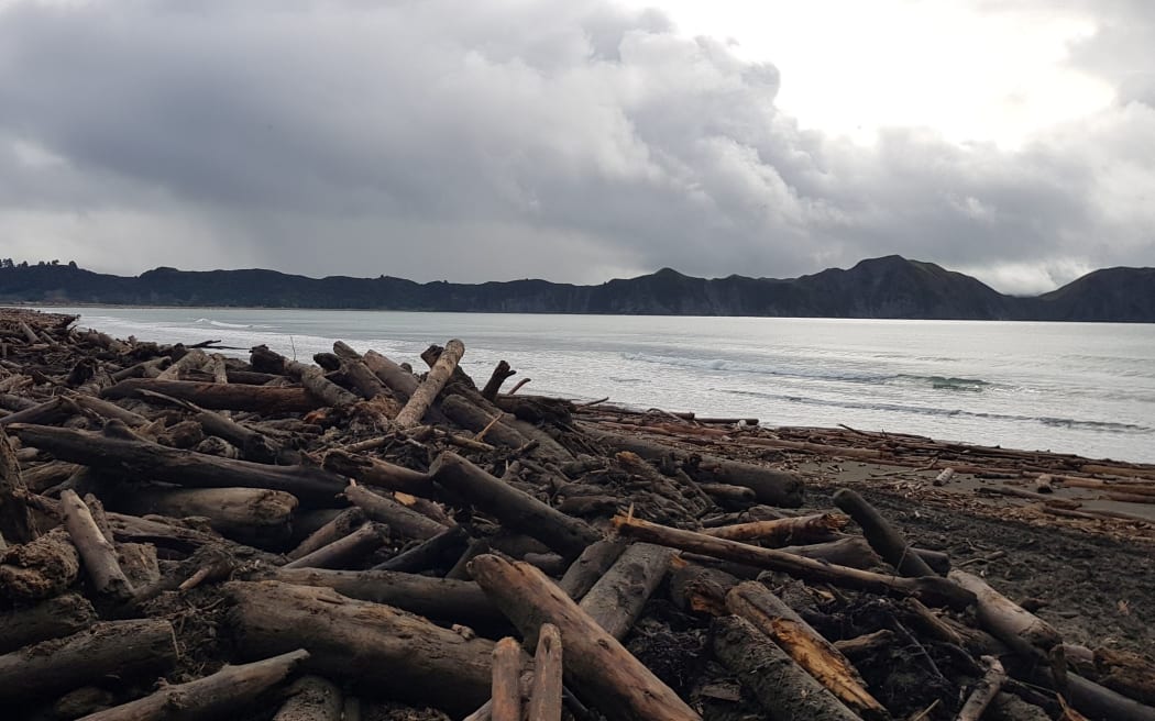 Slash debris after flooding in Tolaga Bay.