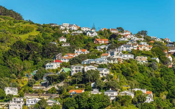 Wellington houses.