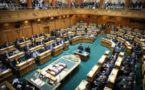 National Party Leader Simon Bridges speaks in the debating chamber.