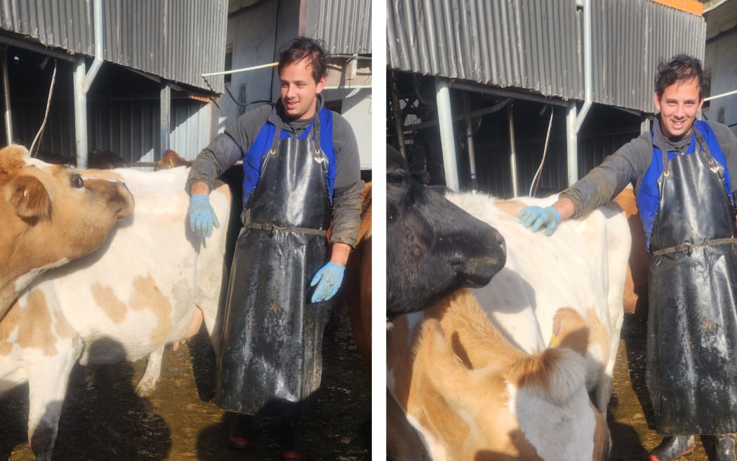Dairy farm training programme