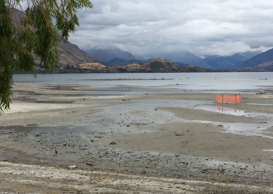 The sinkholes can be in the shallows beyond the waterline as well as the mud closer to the beach.